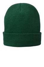 Load image into Gallery viewer, Port Authority ® Fleece-Lined Knit Cap. CP90L