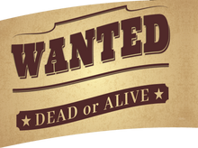 Load image into Gallery viewer, Pre-Designed Flags - Wanted Poster