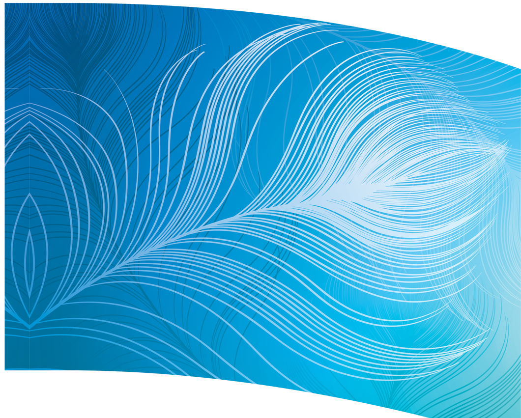 Pre-Designed Flags - Blue Peacock Feather