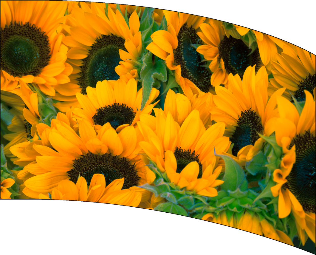 Ready To Ship Digital Flag - Sun Flowers