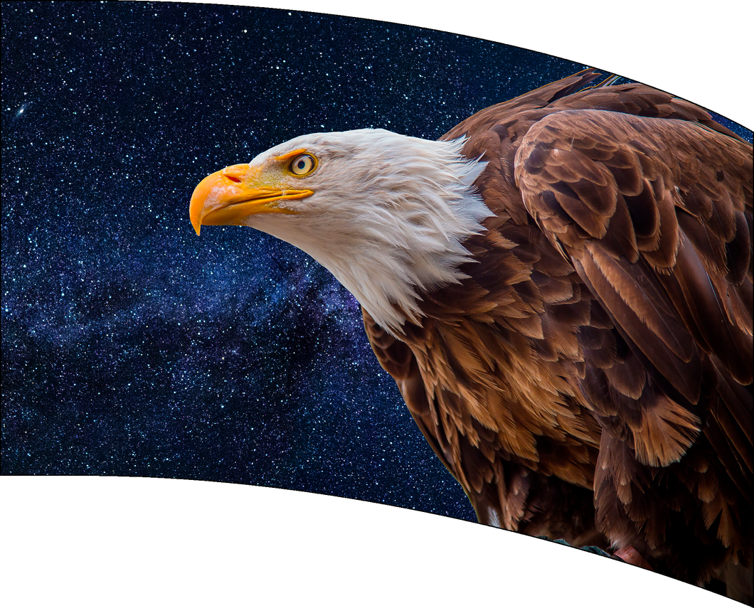 Ready To Ship Digital Flag - Space Eagle