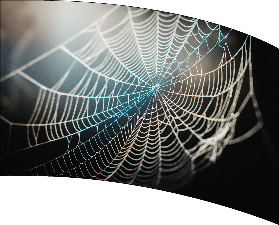 Ready To Ship Digital Flag - Spider Web