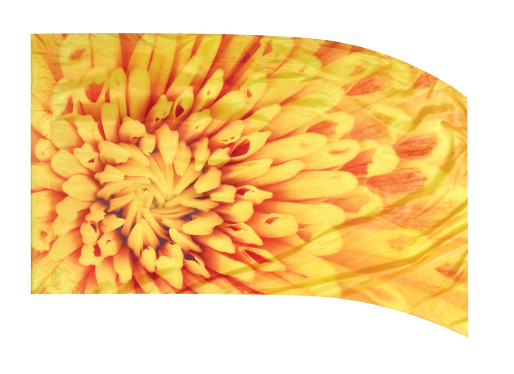 Envision F1 Flag 36